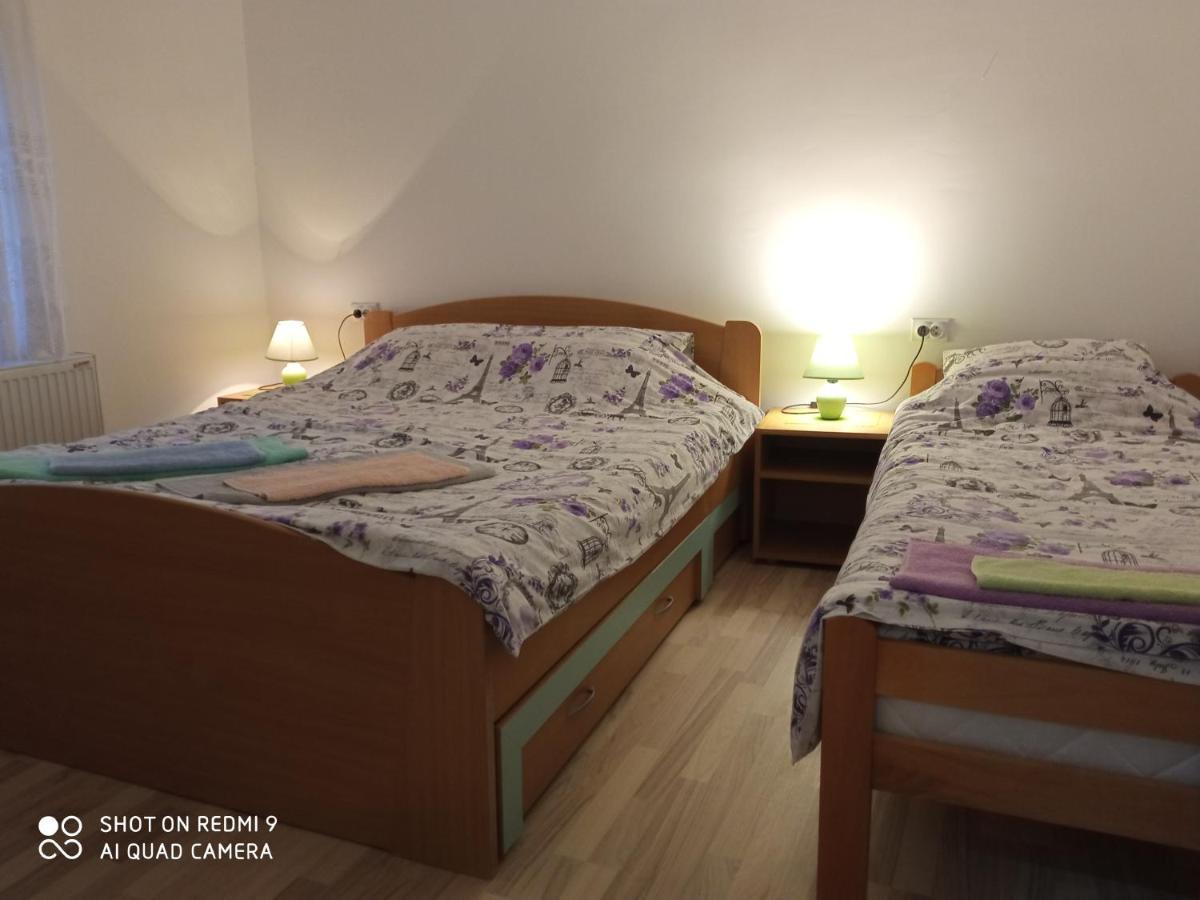 Guest House Vila Banjica ピロト エクステリア 写真