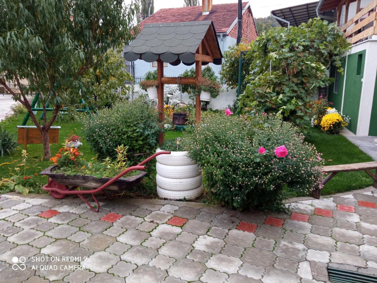 Guest House Vila Banjica ピロト エクステリア 写真