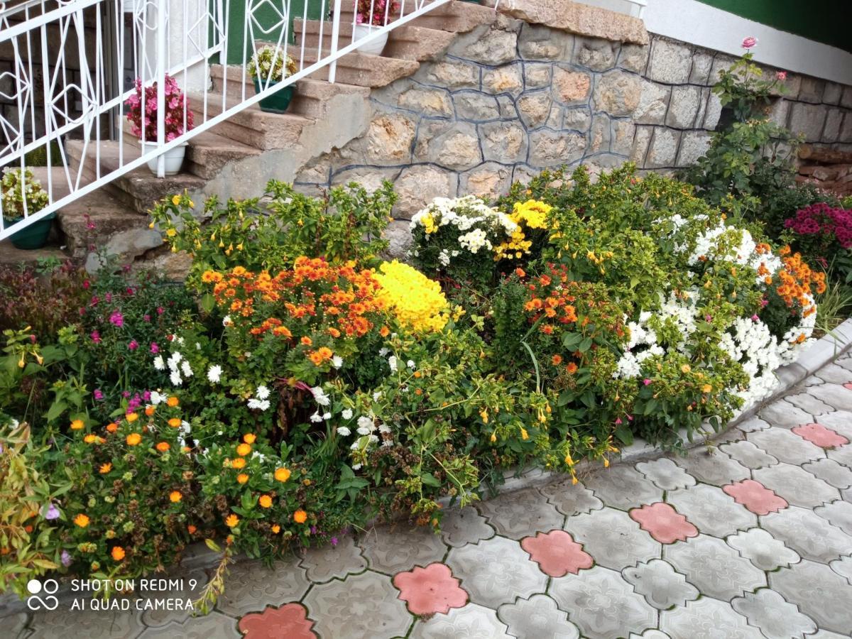 Guest House Vila Banjica ピロト エクステリア 写真