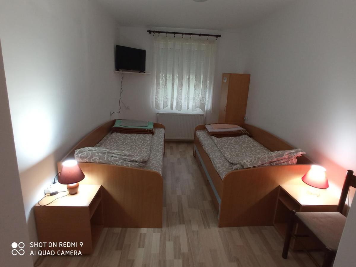 Guest House Vila Banjica ピロト エクステリア 写真