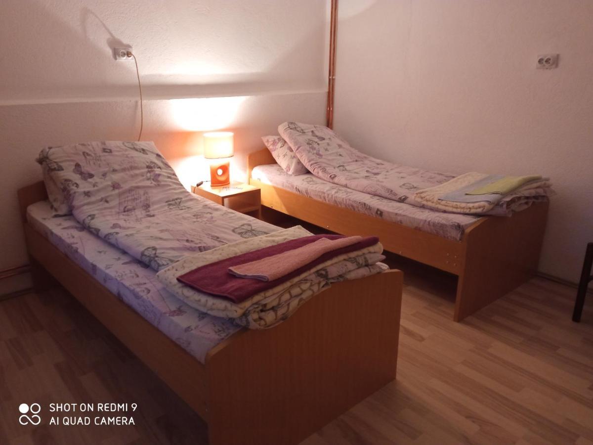 Guest House Vila Banjica ピロト エクステリア 写真