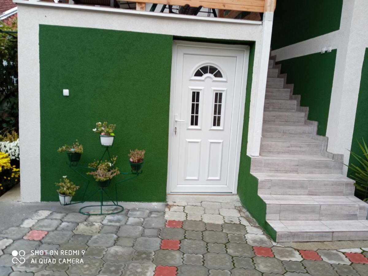 Guest House Vila Banjica ピロト エクステリア 写真