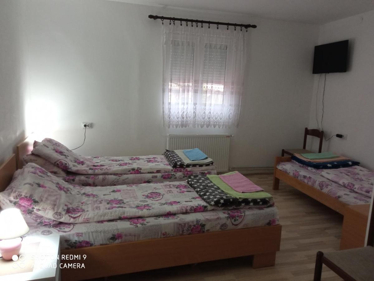 Guest House Vila Banjica ピロト エクステリア 写真