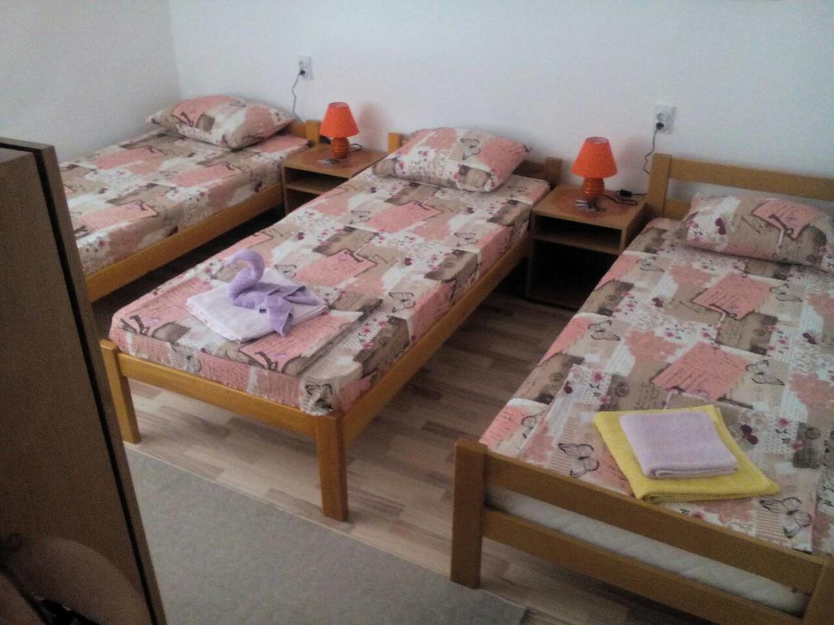 Guest House Vila Banjica ピロト エクステリア 写真