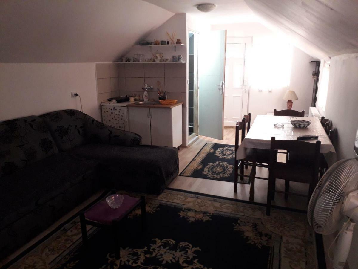 Guest House Vila Banjica ピロト エクステリア 写真