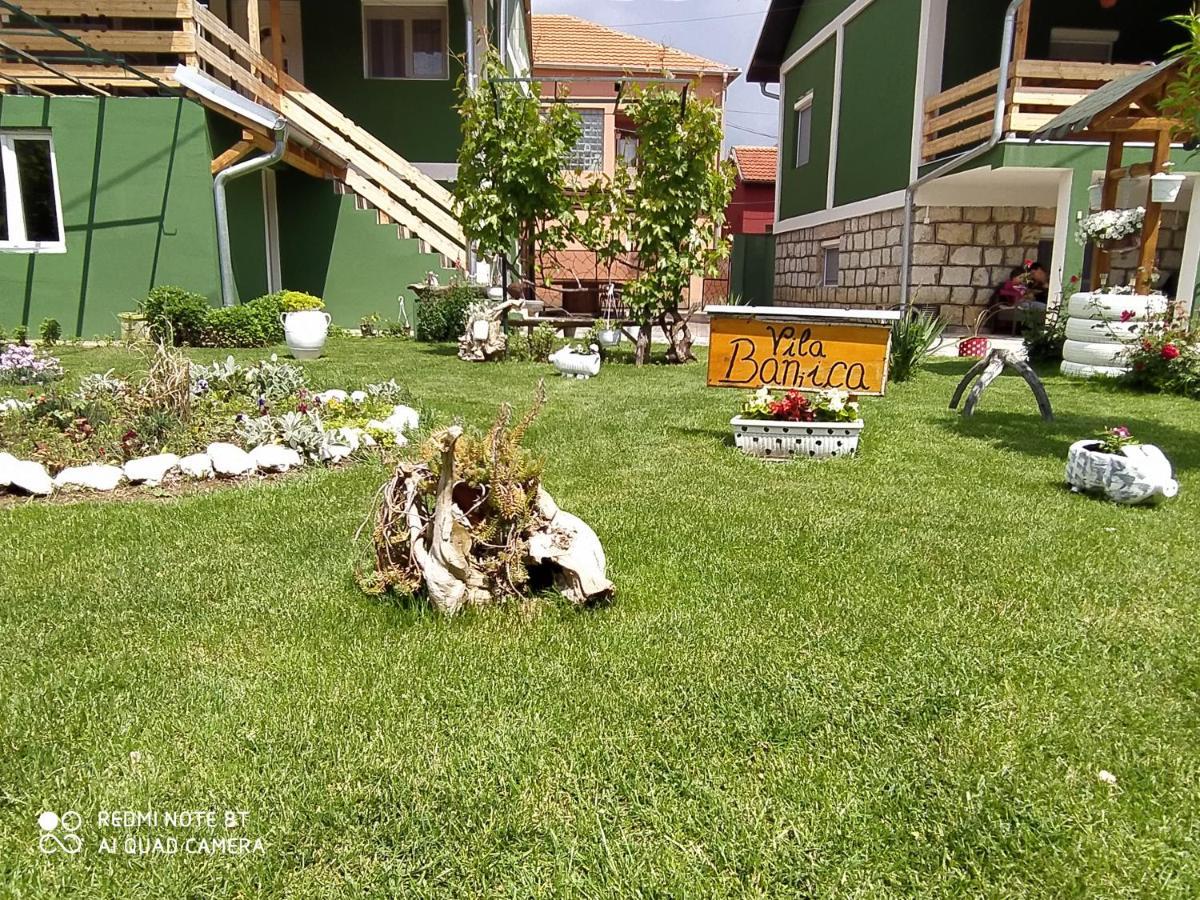 Guest House Vila Banjica ピロト エクステリア 写真