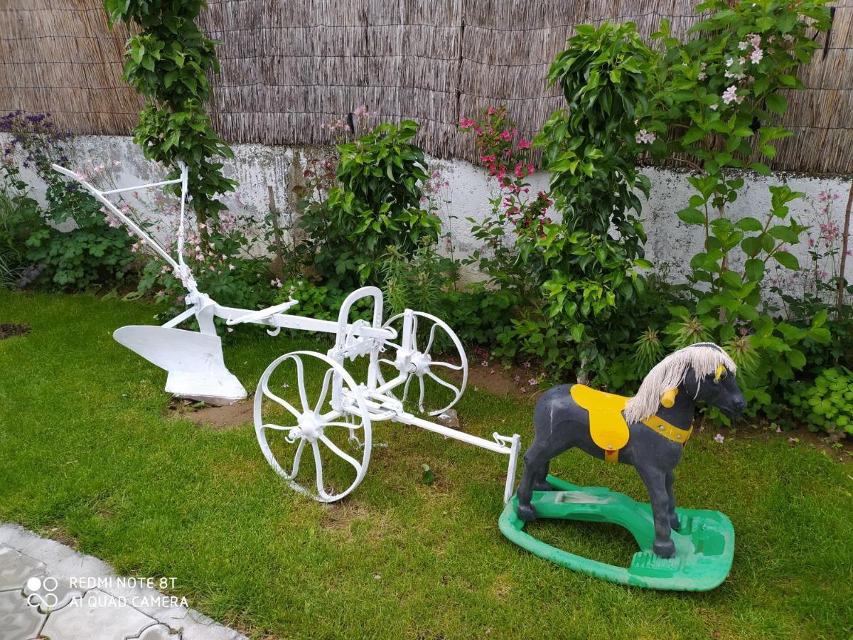 Guest House Vila Banjica ピロト エクステリア 写真
