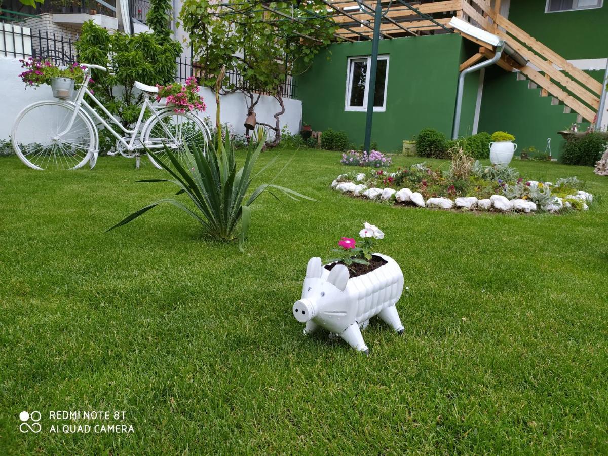 Guest House Vila Banjica ピロト エクステリア 写真